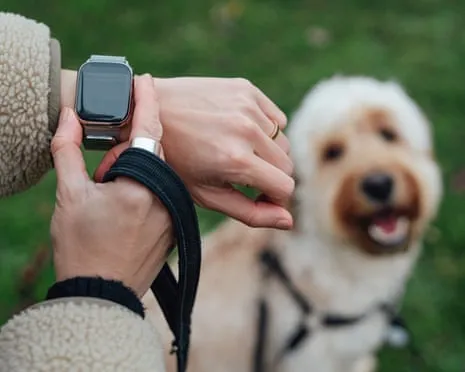 The Truth About Smartwatches? Living Feels Fuller Devoid of a Bossy Gadget on Your Wrist