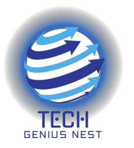 Techgeniusnest